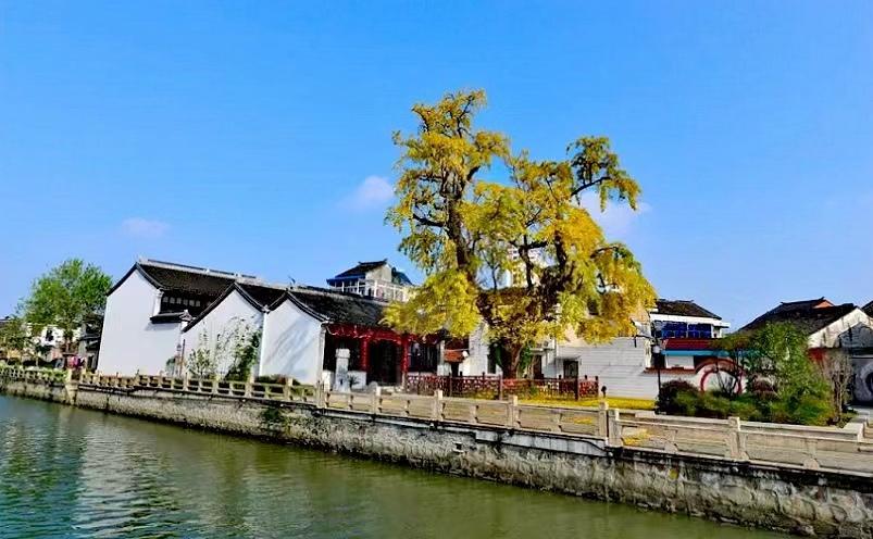 宜兴有哪些景点，宜兴十大必游景点