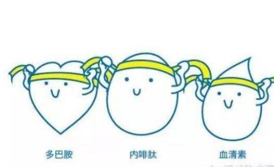 多巴胺会让人感到快乐吗，多巴胺带来的快乐