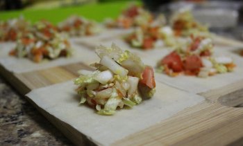 虾仁馄饨馅怎么调，虾仁馄饨馅的制作方法