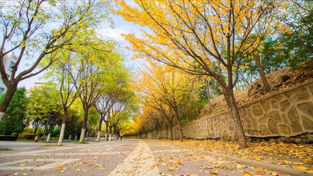 西安科技大学怎么样，西安科技大学概况