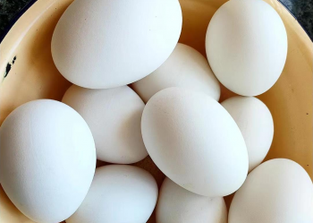鹅蛋为何吃的人少，为什么卖鹅蛋的很少