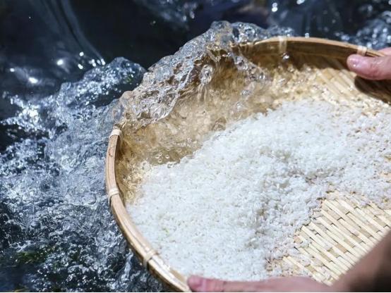 夏天大米容易生虫怎么办，夏季大米防虫妙招