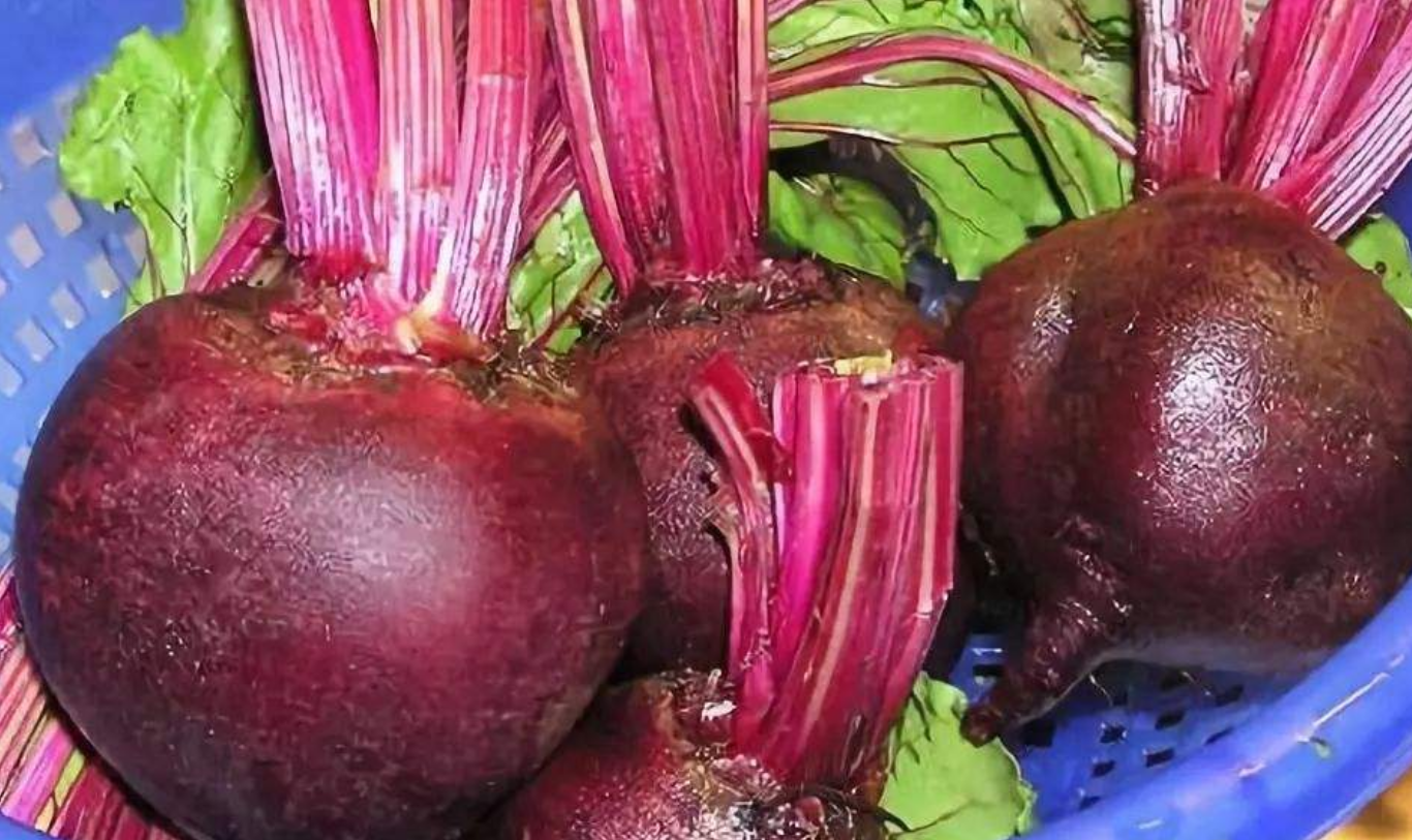 甜菜根怎么吃，甜菜根的5种最佳吃法