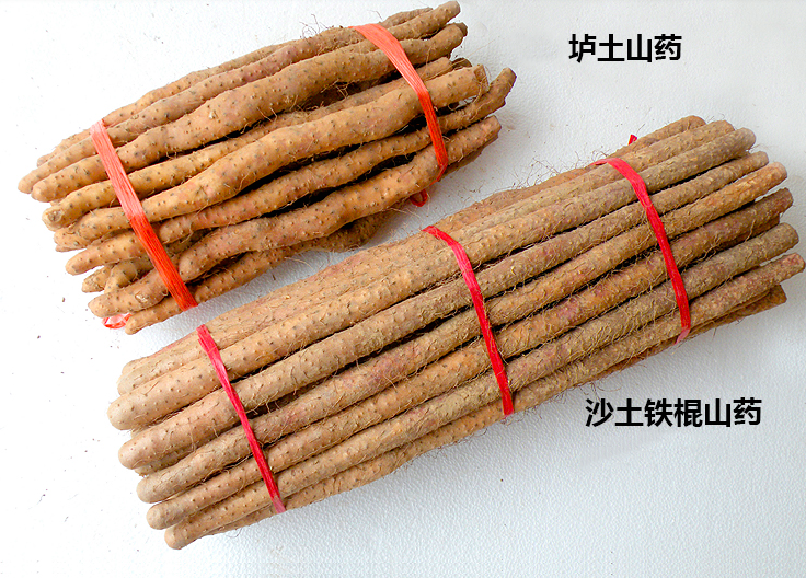 铁棍山药比普通山药更营养吗，如何选购