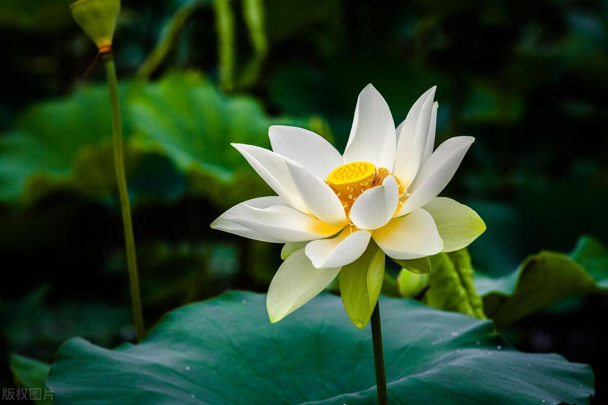 夫妻能走到最后靠的是什么，是命中注定吗