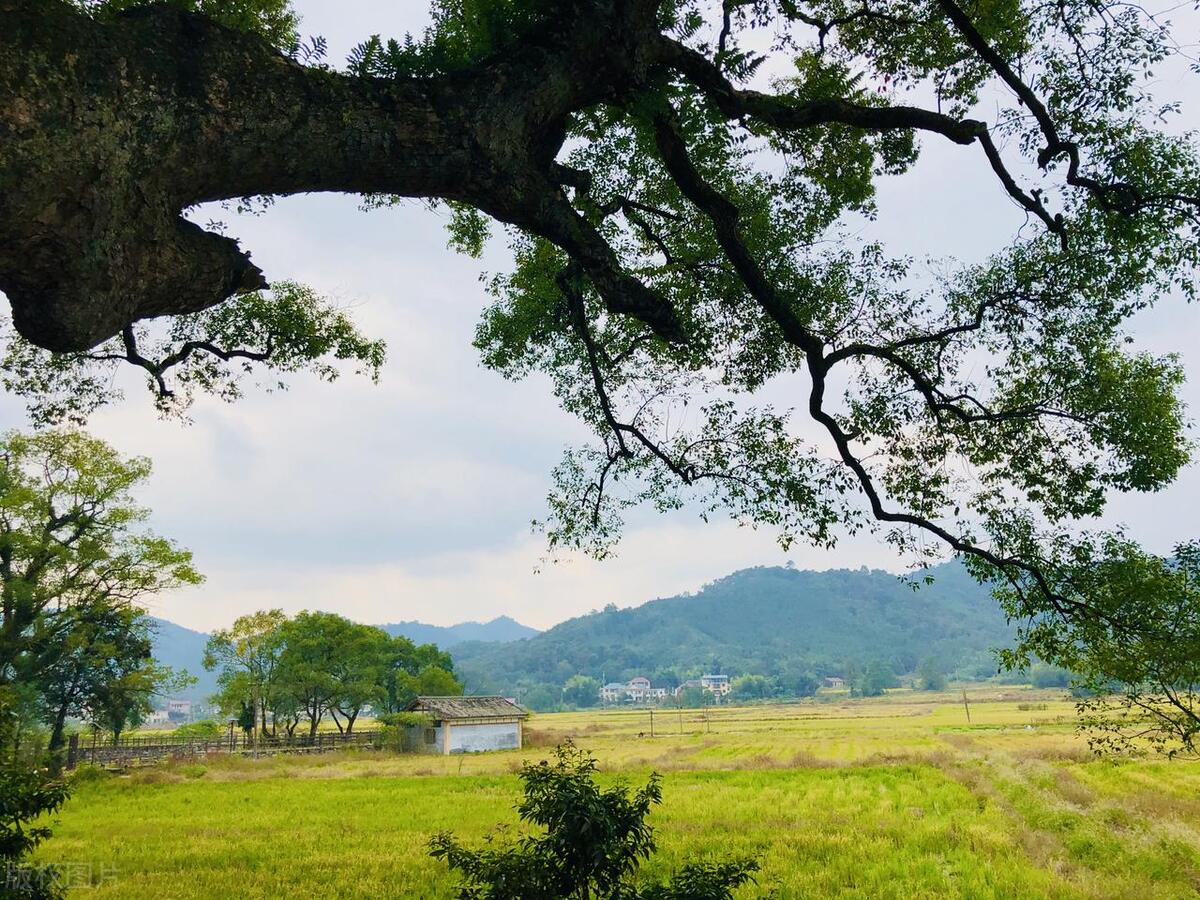 宜春游玩哪里好玩，宜春必去的10大景点推荐