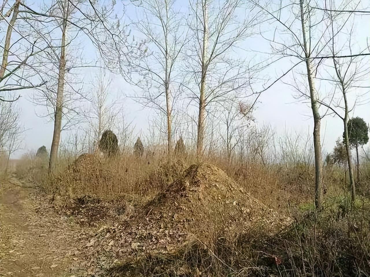 人死后为啥要立碑，人去世立碑有讲究吗