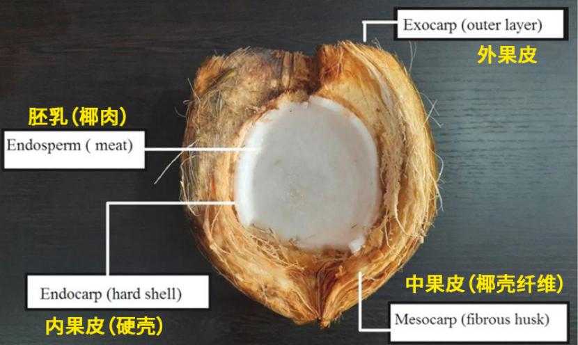 椰果是由菠萝汁做的吗，椰果是什么做的