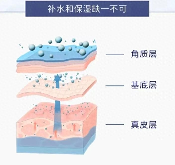 补水VS保湿谁更重要，保湿与补水有什么区别