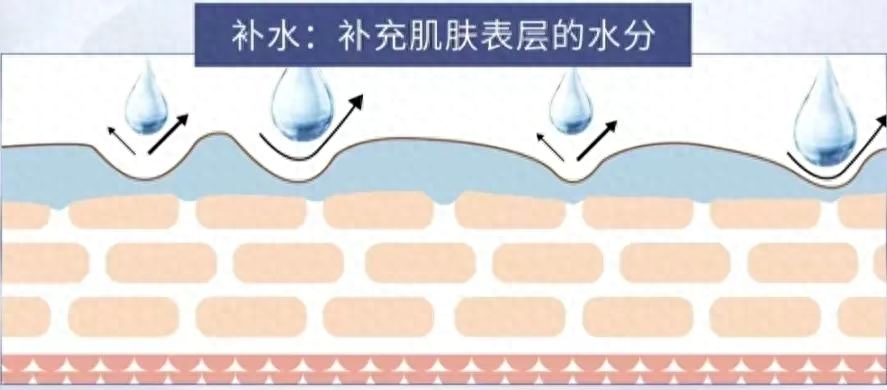 补水VS保湿谁更重要，保湿与补水有什么区别