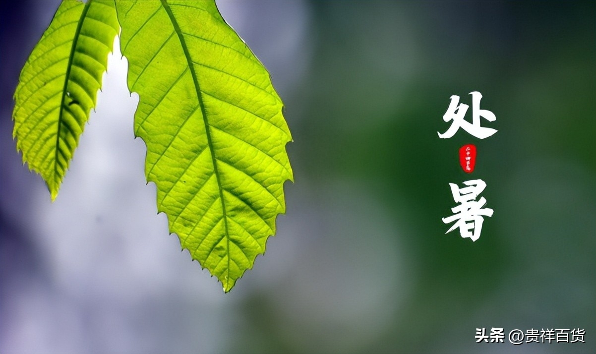 处暑是出伏的意思吗，处暑是最热的时候吗
