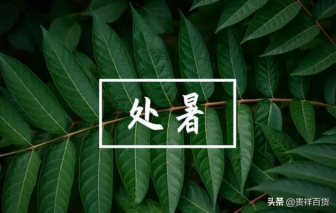 处暑是一年中第几个节气，处暑是秋天的第几个节气