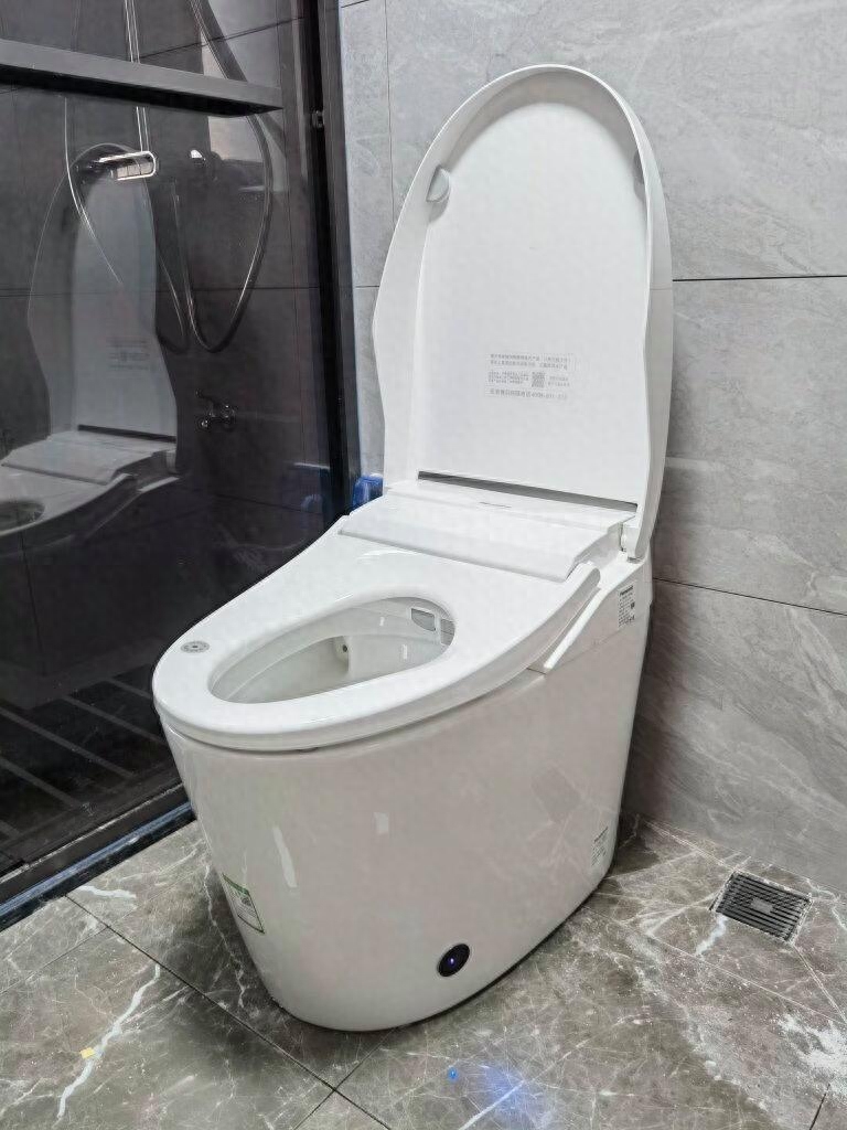 智能马桶哪个品牌好，智能马桶哪个品牌性价比高