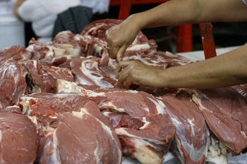 回族人为什么不吃猪肉，回民和猪的渊源