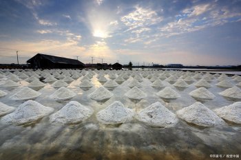 海盐湖盐井盐矿盐哪个好，有何区别