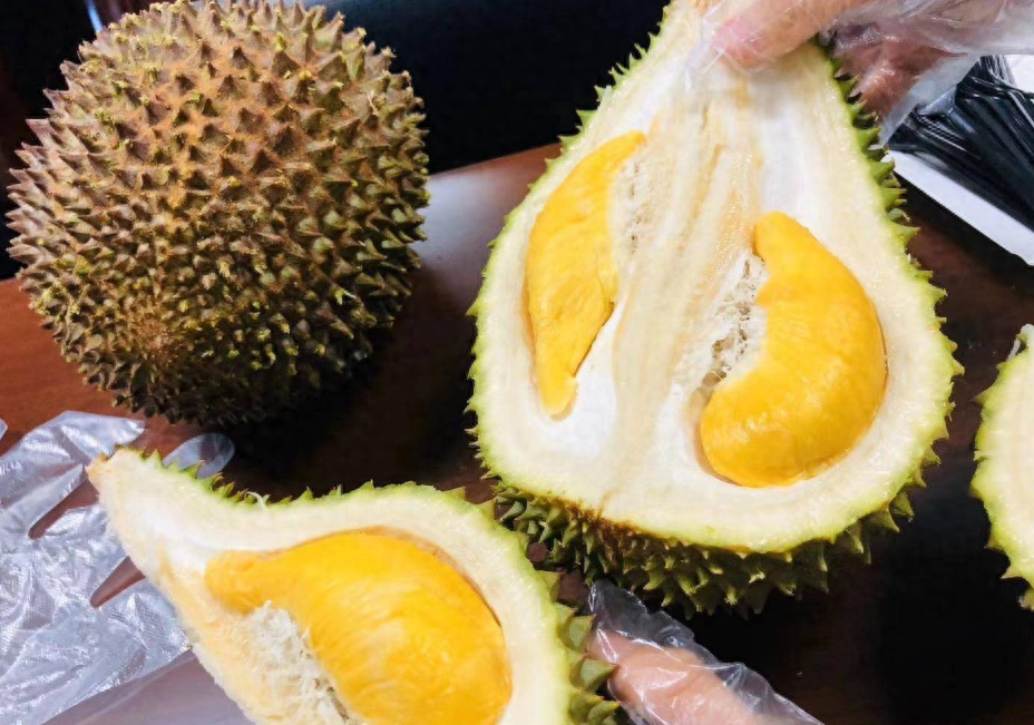 榴莲的臭味来自哪里，为什么热带水果都有臭味
