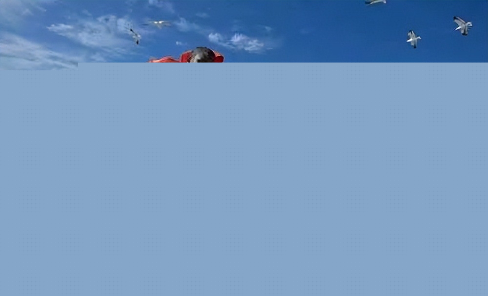 人类如何解救搁浅的鲨鱼，搁浅的鲨鱼能救吗