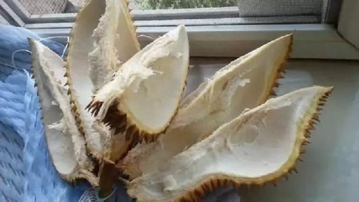 榴莲可以炖鸡吗，榴莲炖鸡的正宗做法