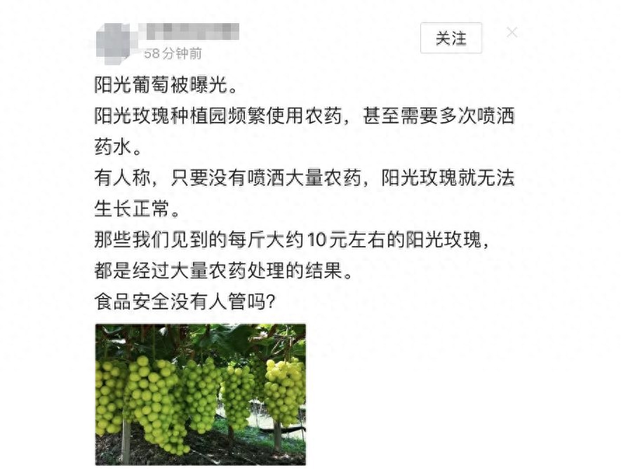 阳光玫瑰葡萄怎么了，阳光玫瑰葡萄事件