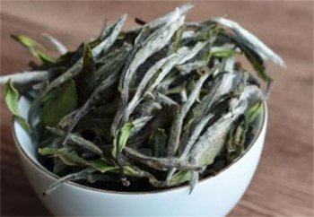 福鼎白茶分几个等级，福鼎白茶等级分类