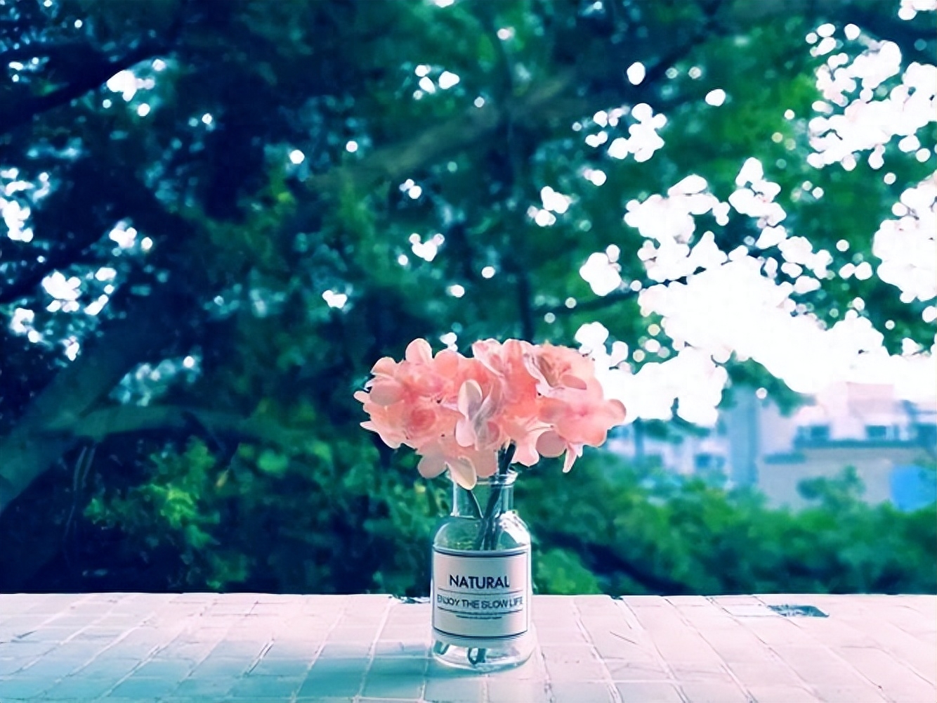 如何让心态变得平和，怎么让自己保持平和心态