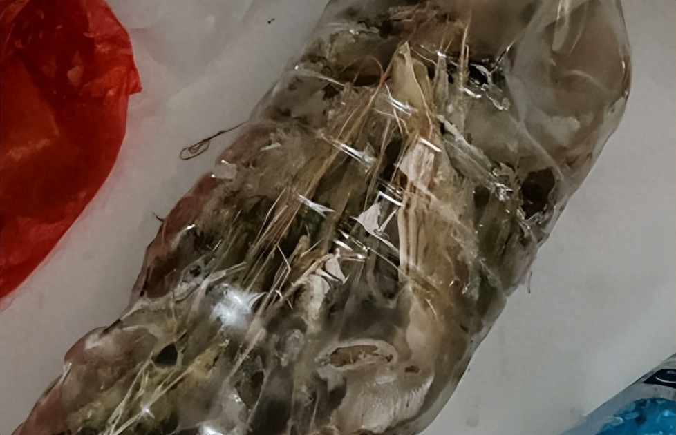 活虾可以放矿泉水瓶保存吗，活虾如何冷冻保存