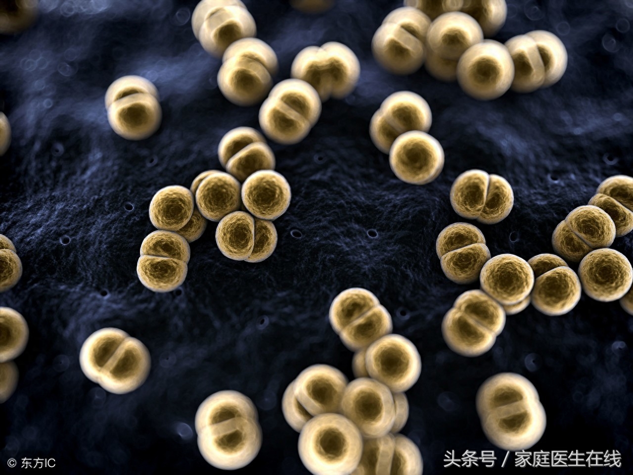 牛奶有什么作用，牛奶打开多久不能喝了，