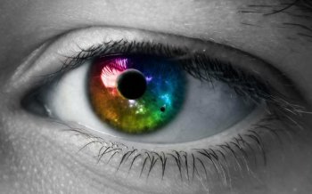 世界上眼睛最大的生物是什么，动物中谁的眼睛最大