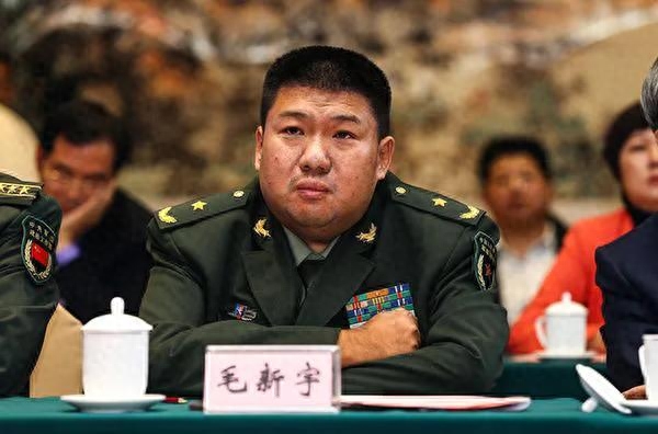 毛新宇是个怎样的人，毛新宇个人简介