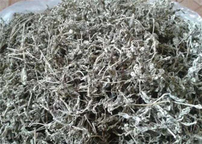 莓茶哪里的好，莓茶的产地在哪里
