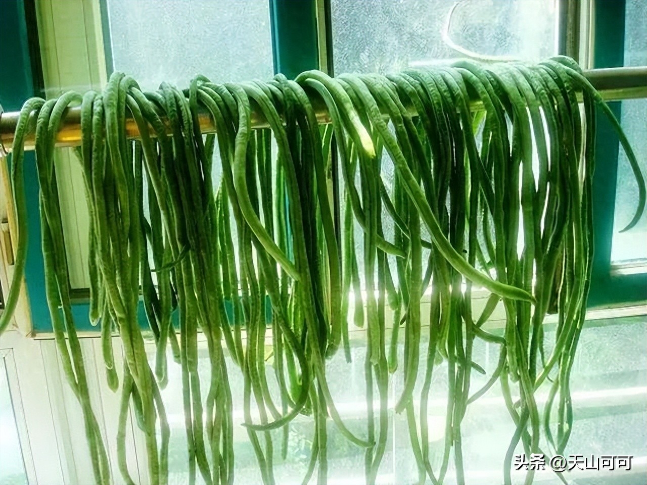 豇豆与豆角有哪些区别，豇豆与豆角的区分