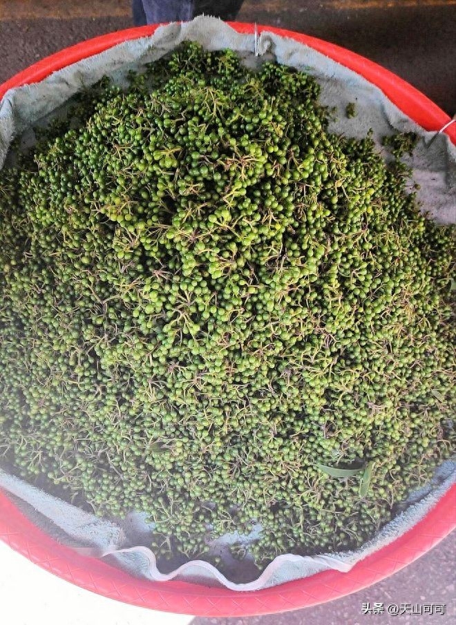 青花椒和红花椒有什么区别，青花椒和红花椒的区别