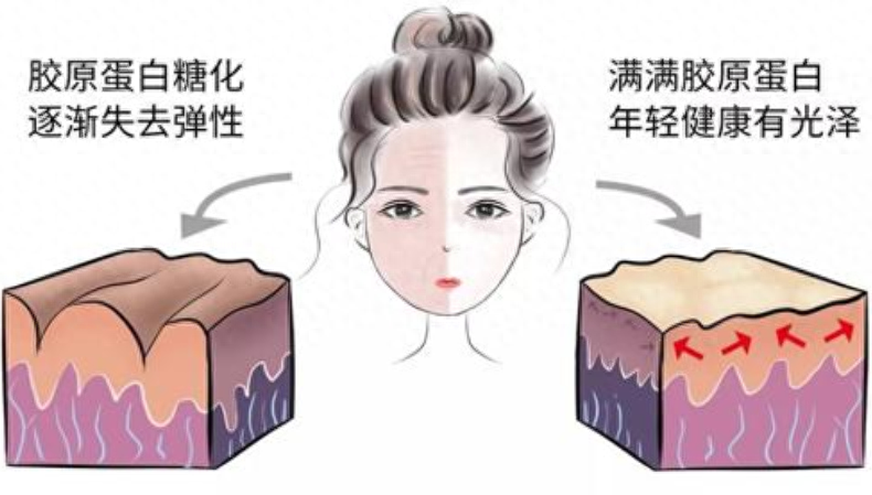 抗氧化的重要性有哪些，抗氧化性的意义