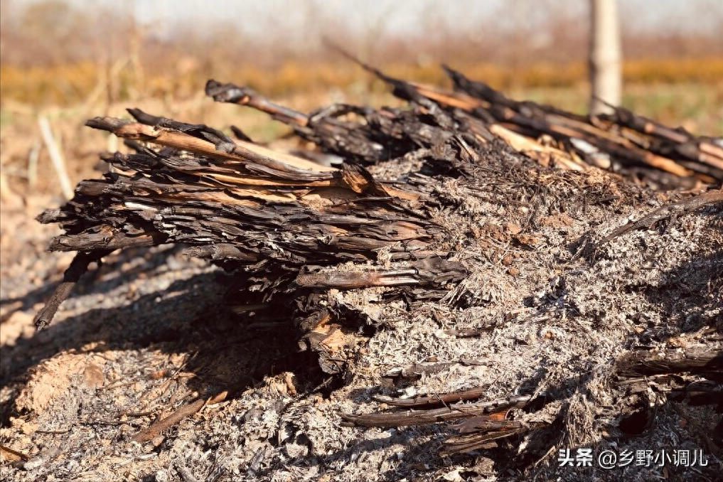 草木灰有什么作用，柴木灰的功效作用