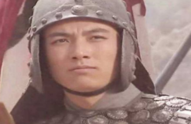 诸葛瞻是谁的儿子，诸葛瞻和诸葛亮什么关系