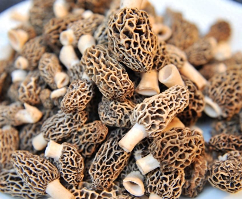 羊肚菌可以怎么吃，羊肚菌的吃法和做法