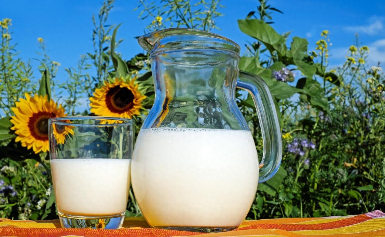 牛奶和酸奶有什么不同，牛奶和酸奶的区别