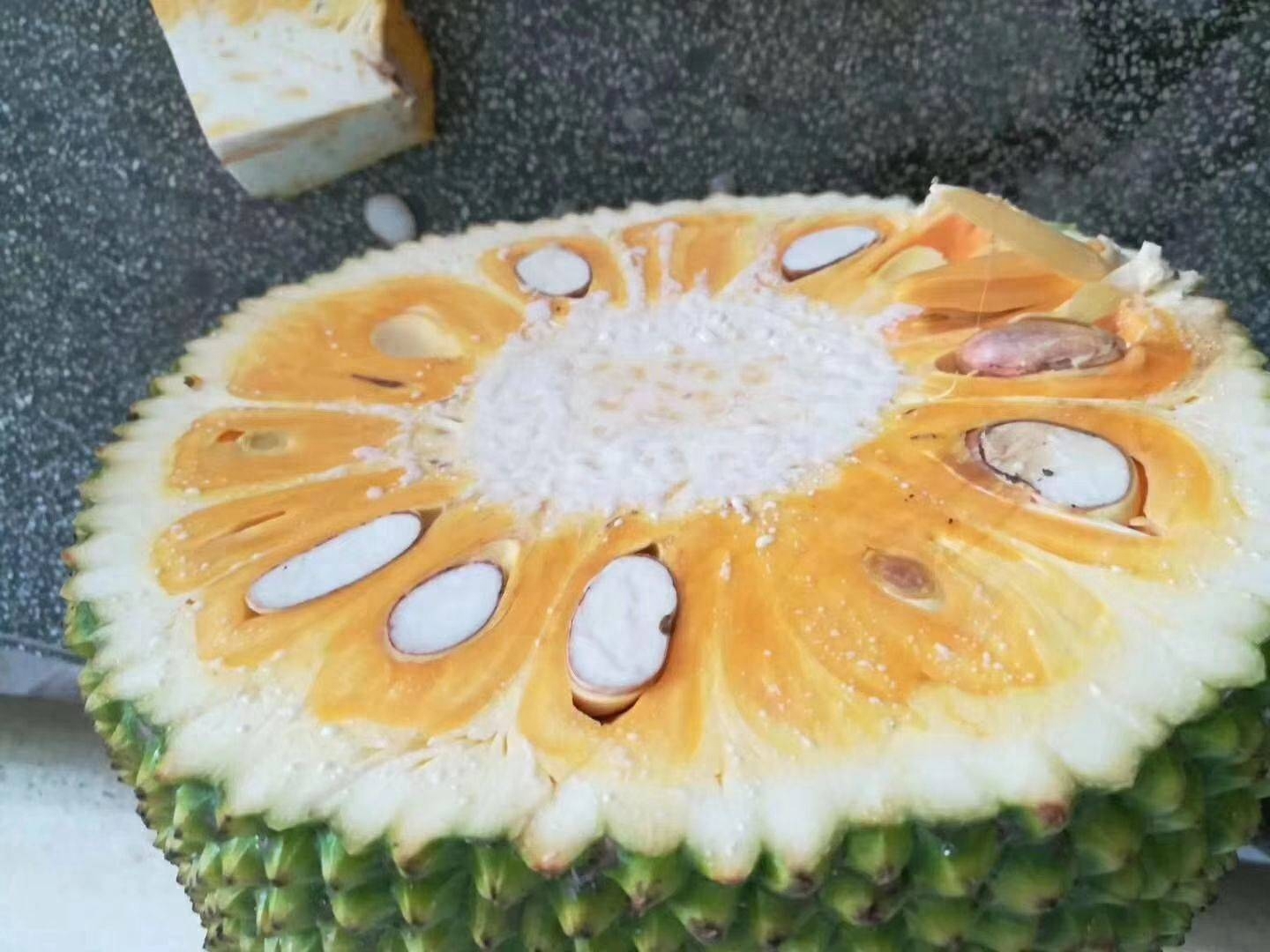 菠萝蜜湿苞干苞什么意思，菠萝蜜是湿苞干苞的区别