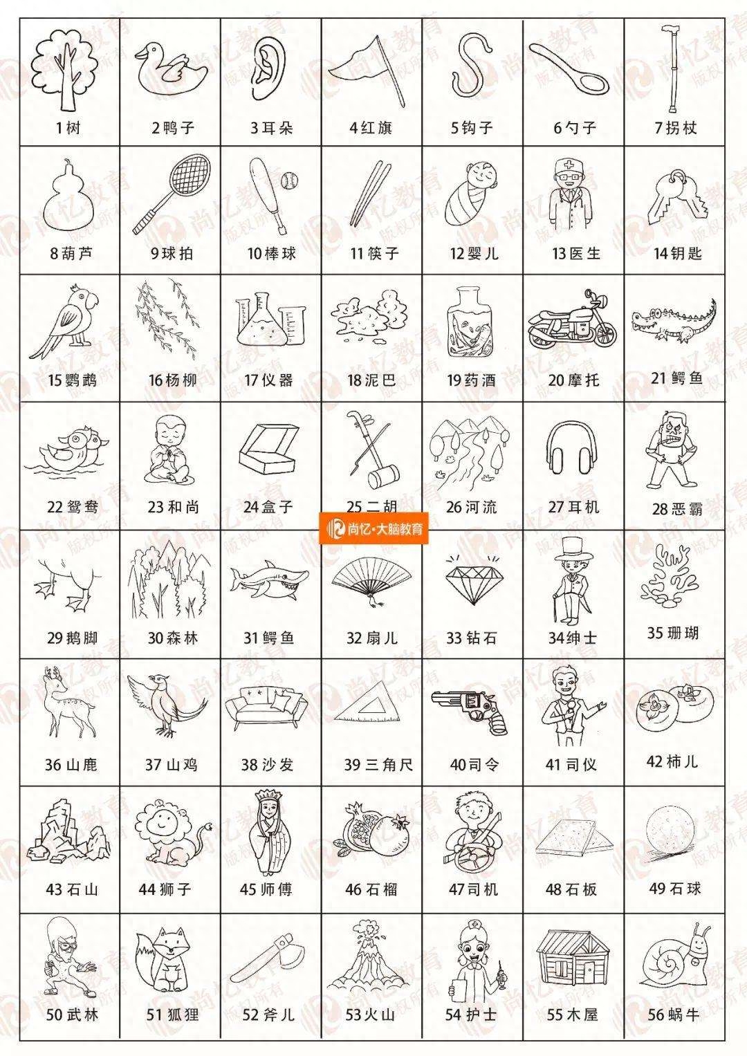记忆力不好怎么掌握，掌握记忆的技巧