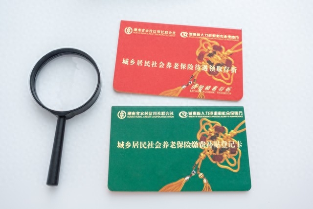 怎样申请领取养老金，个人养老金领取办理流程
