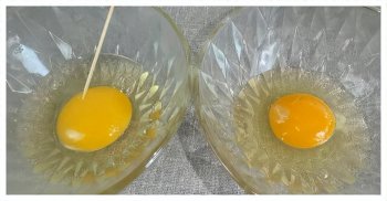 激素蛋吃了会怎么样，激素蛋的危害