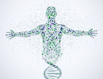 什么决定了人的命运，决定人的命运的因素