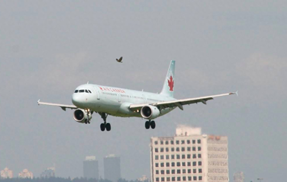 飞机降落之前为什么要盘旋，飞机在空中来回盘旋是干啥