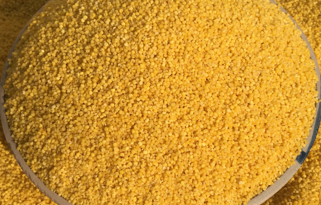 黄小米祛湿吗，黄小米的功效和作用