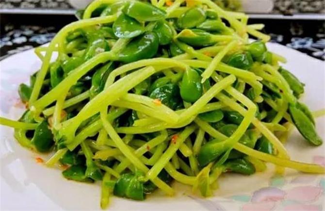 豌豆苗要不要焯水，如何处理豌豆苗