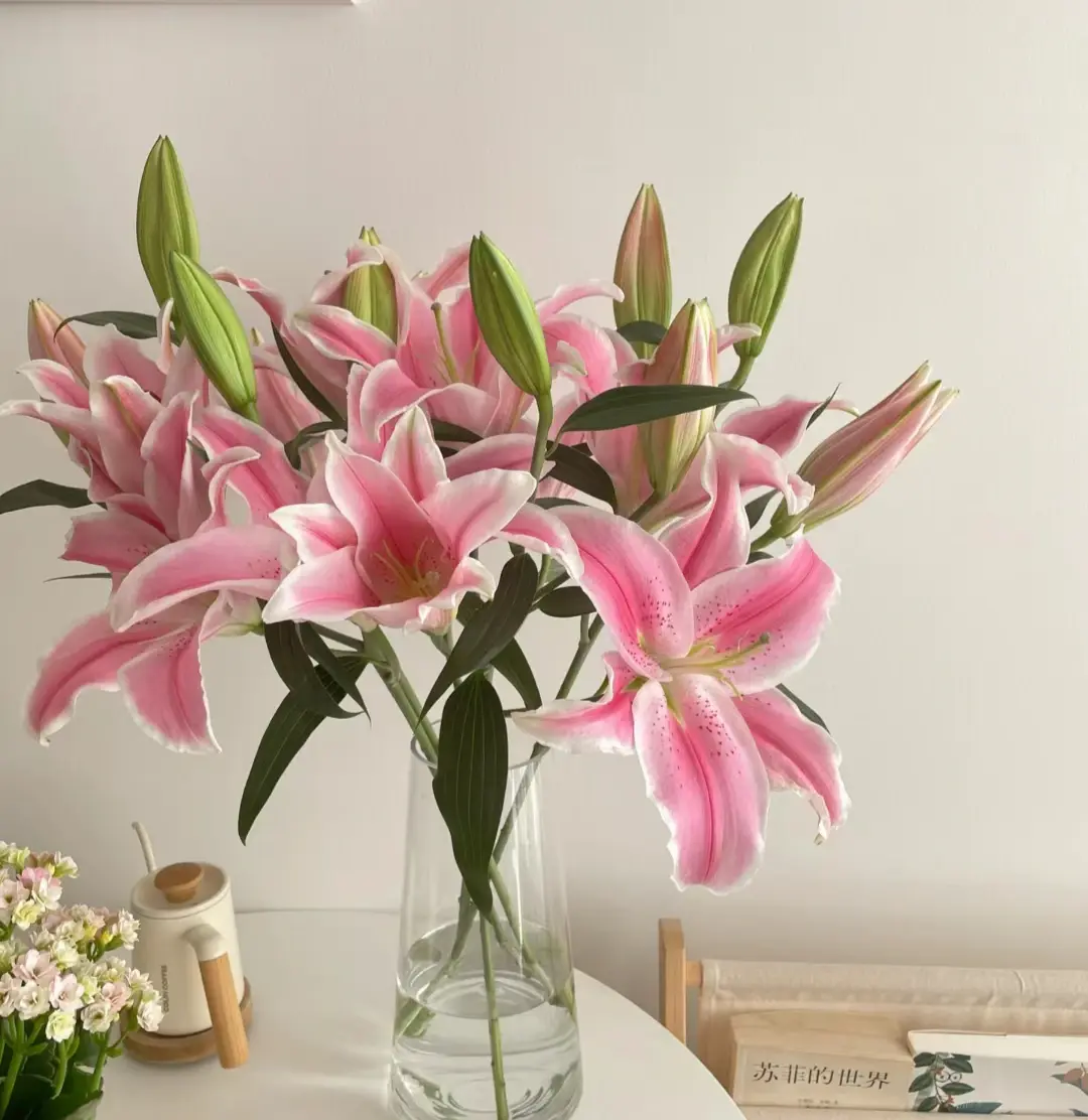 百合适合送给谁，百合花的寓意