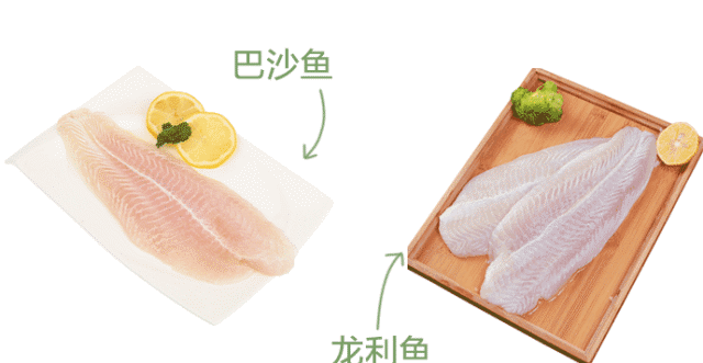 巴沙鱼与龙利鱼一样吗,巴沙鱼与龙利鱼怎么识别