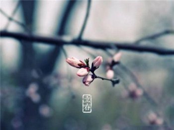四绝日是什么意思，四绝日的通俗解释