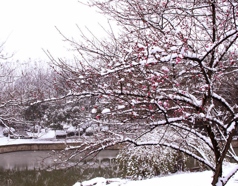 梦见铲雪预示着什么，梦见很厚的积雪