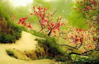 柳暗花明是什么意思  ，柳暗花明出自哪里